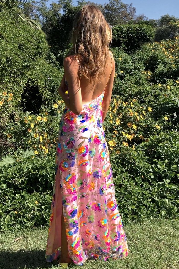 Violet - Dreamy Sheer Maxi Dress